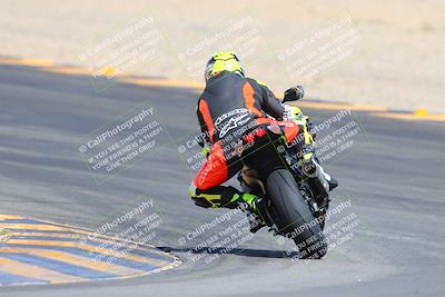 media/Mar-10-2024-SoCal Trackdays (Sun) [[6228d7c590]]/9-Turn 8 Backside (1150am)/